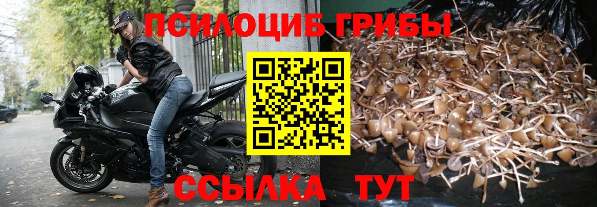 Псилоцибиновые грибы мицелий Тверь